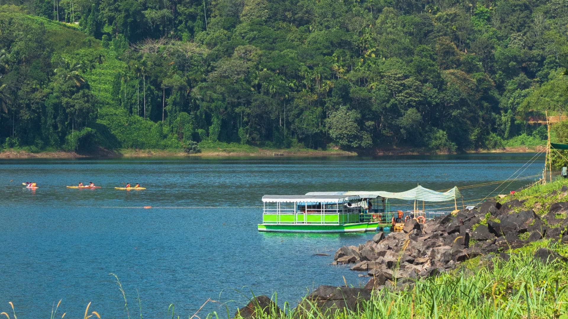 Discover Thekkady: The Ultimate Guide to Periyar’s Wild Heart - Photo 5