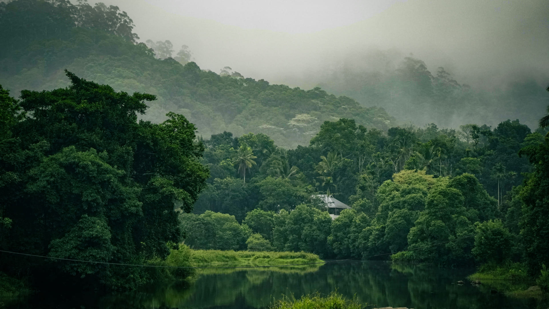 Discover Thekkady: The Ultimate Guide to Periyar’s Wild Heart
