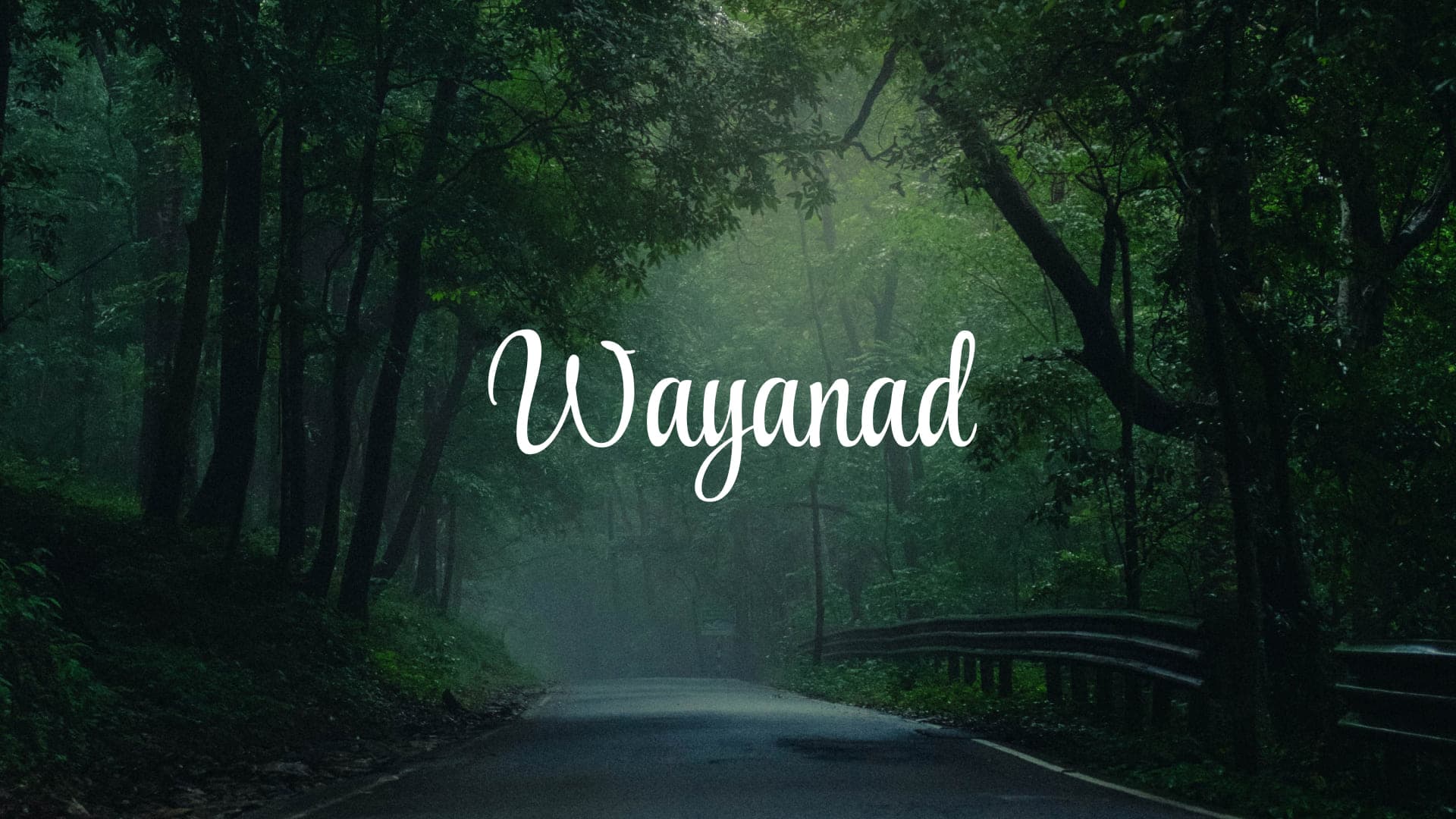 Discover Wayanad: The Ultimate Guide to Kerala’s Green Paradise