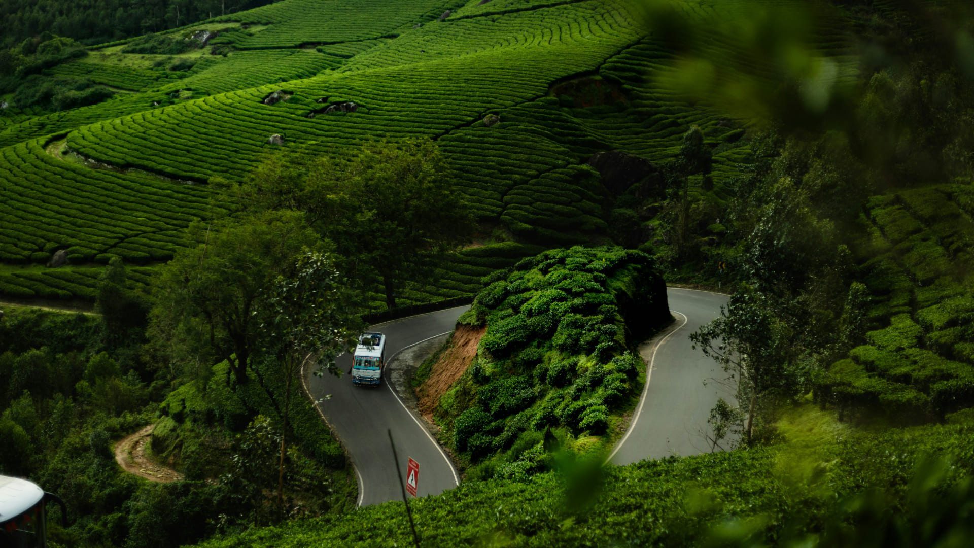 Discover Wayanad: The Ultimate Guide to Kerala’s Green Paradise