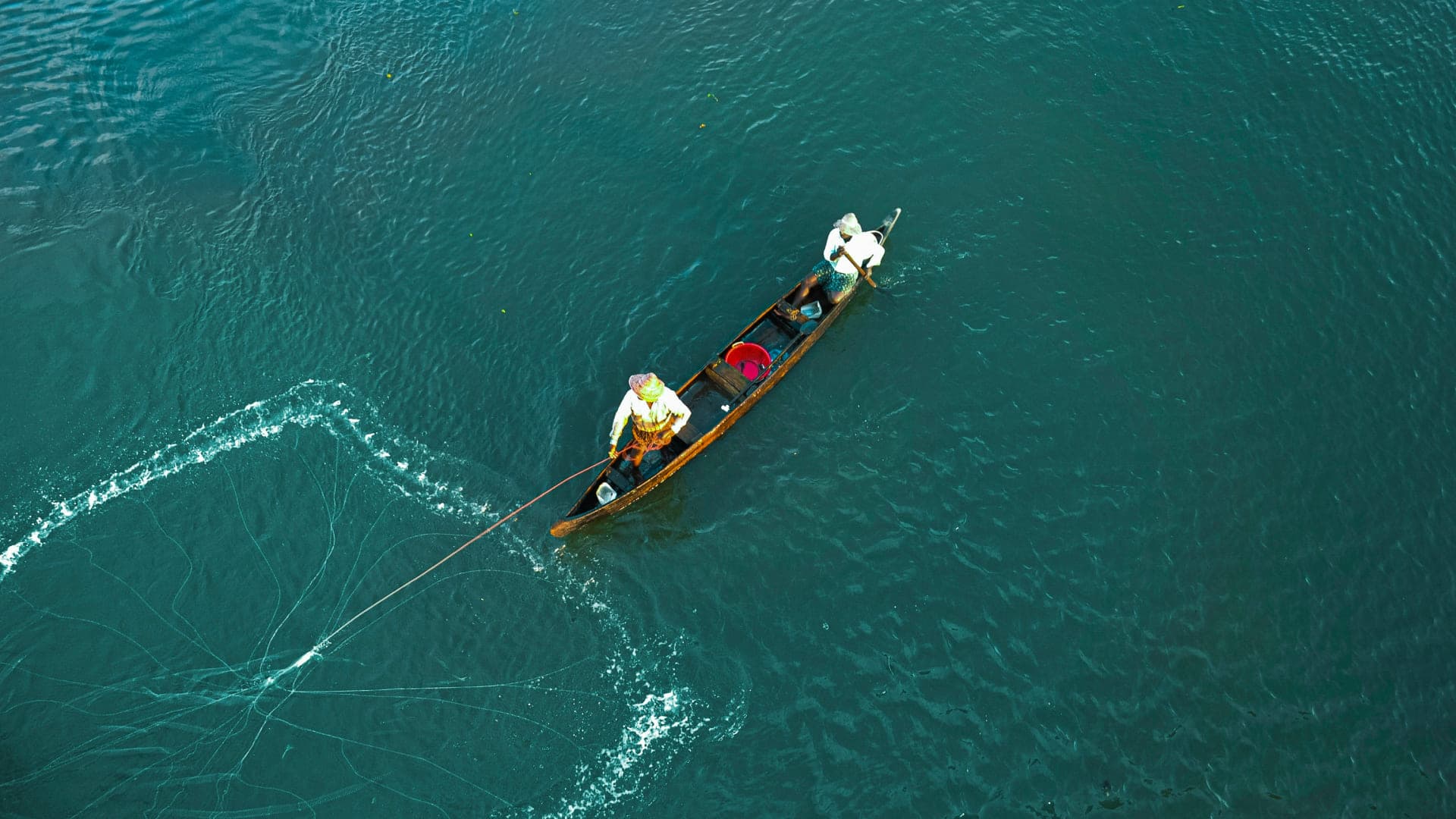 Discover Kochi: The Ultimate Guide to Kerala’s Queen of the Arabian Sea - Photo 3
