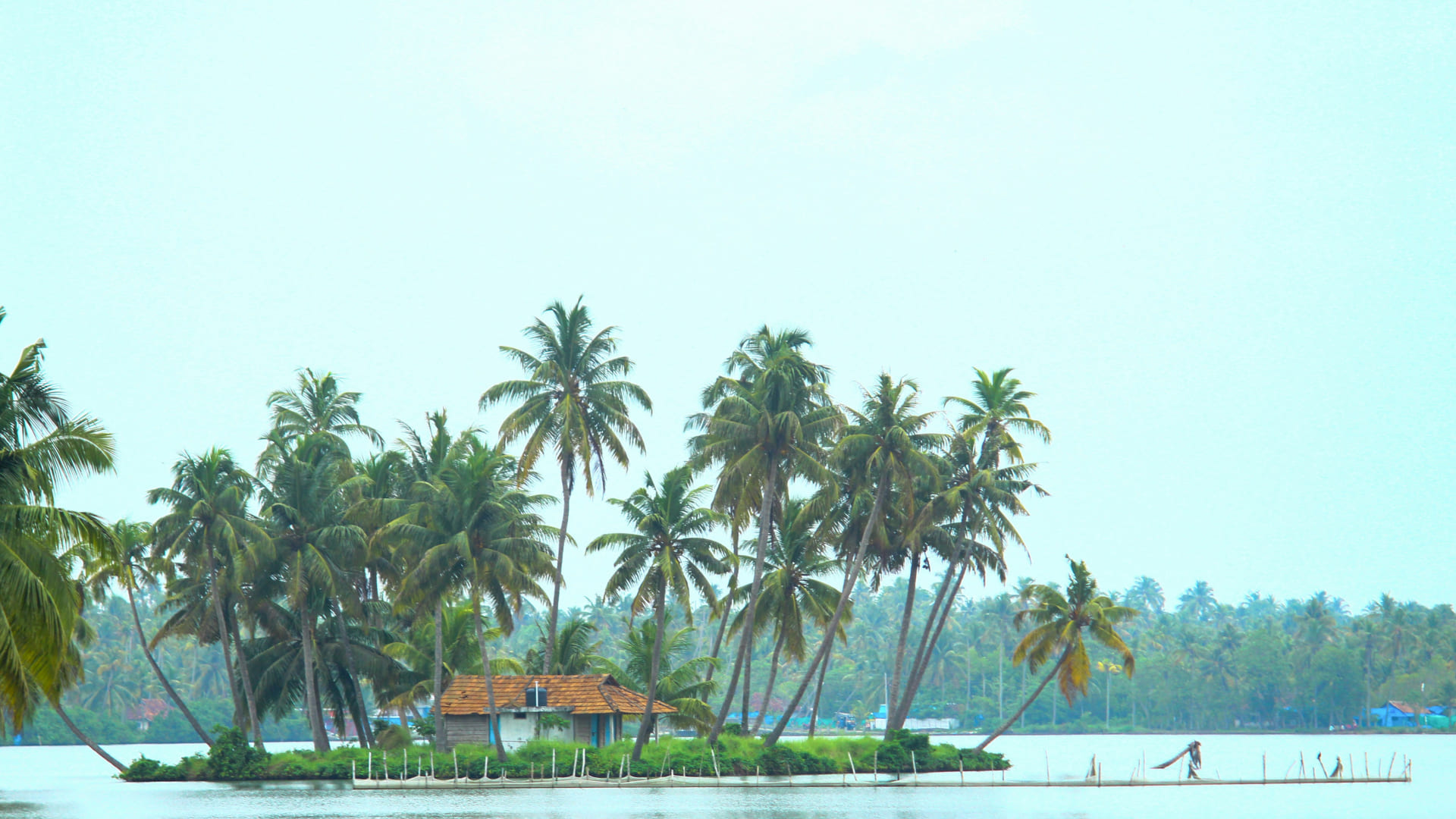 Discover Kochi: The Ultimate Guide to Kerala’s Queen of the Arabian Sea
