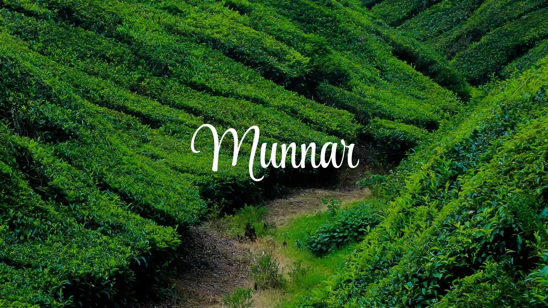 Kerala & South India travel guide