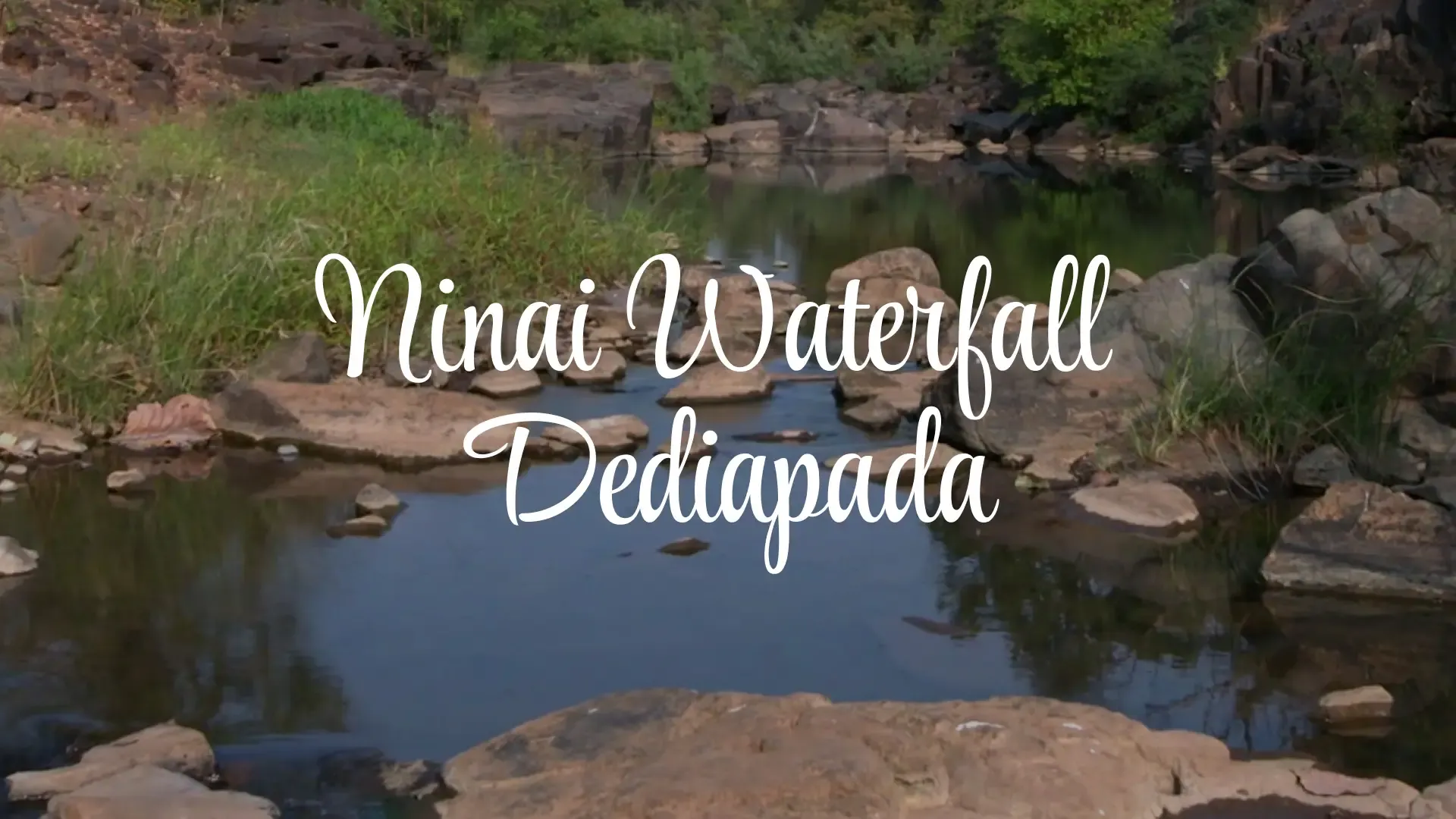 Ninai Waterfall Dediapada Travel Guide 2026: Shoolpaneshwar Forest, 30-Foot Cascade & Timings
